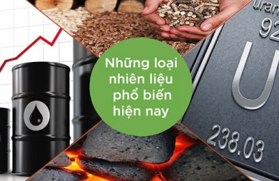 Bảng tính so sánh chi phí các loại nhiên liệu để tạo ra 1 tấn hơi trong lò hơi